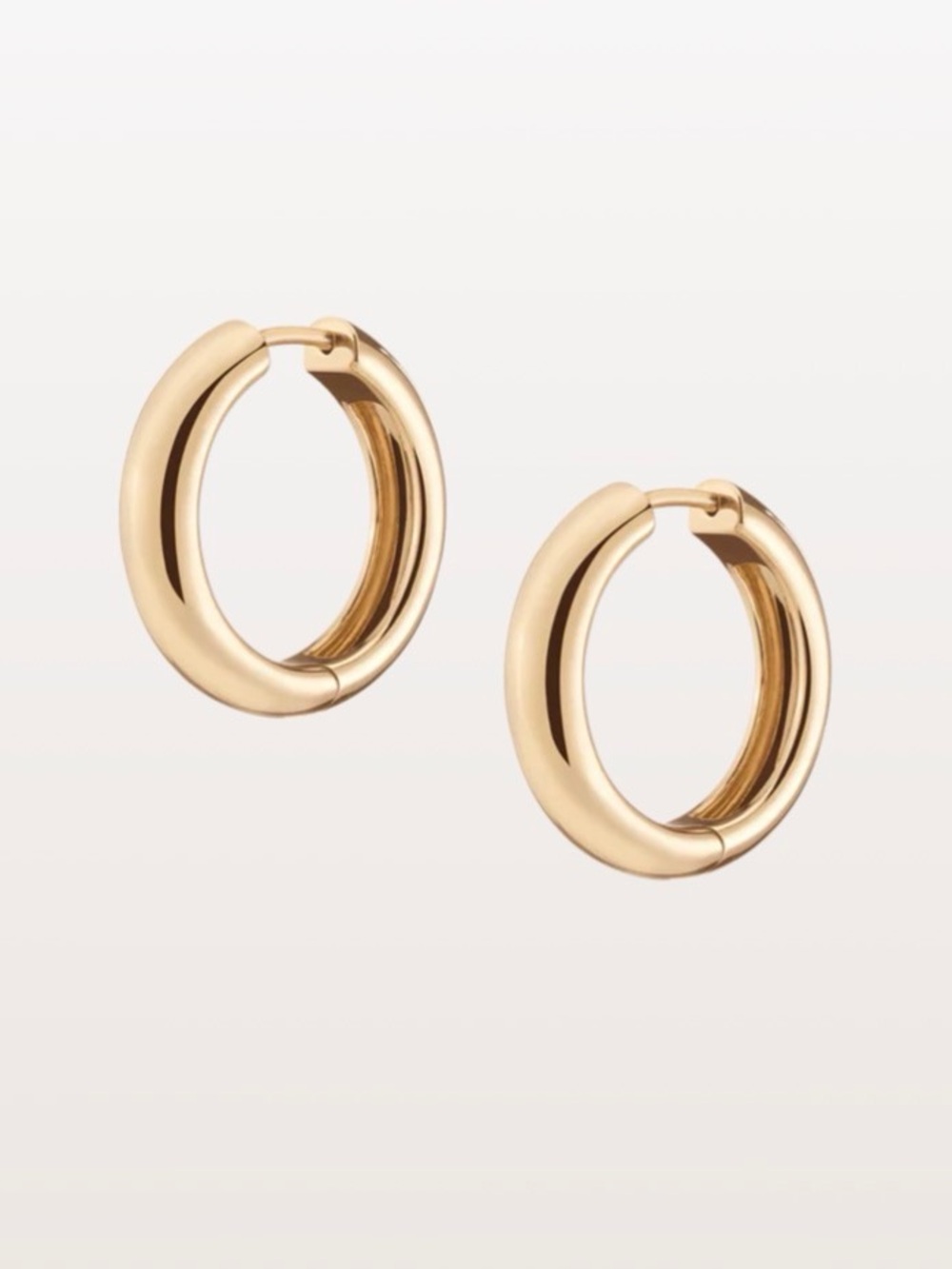 Medium Chunky Hinged Hoop Earrings